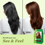 Thumbnail for Prem Dulhan Hair Henna Natural Henna Based Hair Color - Distacart