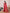 Mitera Checked Zari Saree With Blouse Piece