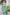 Vishnu Weaves Women's Sea-Green Banarasi Silk Patola Zari Woven Saree with Blouse