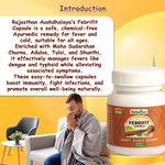 Thumbnail for Rajasthan Herbals Febrifit Capsules