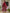 Anouk Red Floral Printed Empire Pure Cotton Anarkali Kurta With Pyjamas & Dupatta