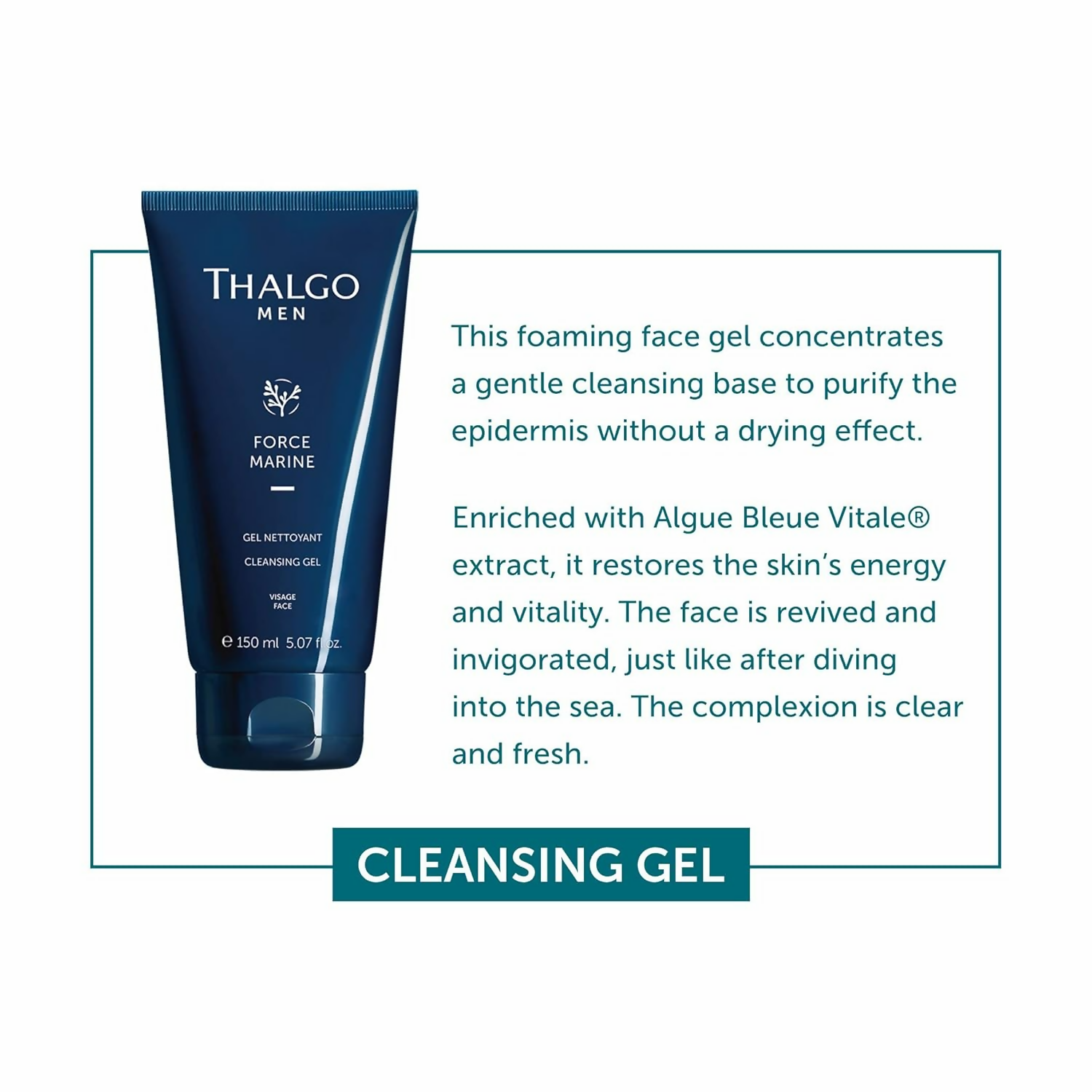 download - 2024-12-17T161228.287