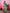 Vedant Vastram Banarasi Silk Fashion Saree - Green - Distacart