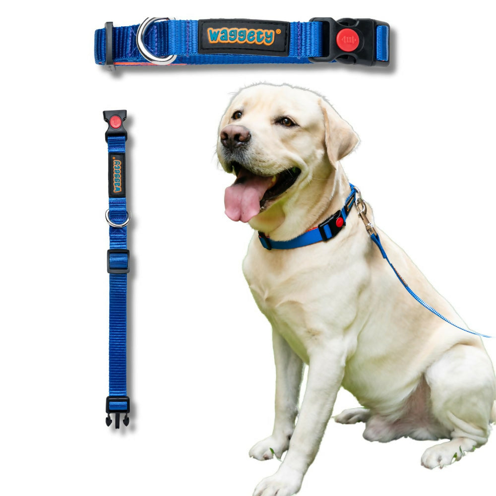 Waggety Padded Dog Collar - Adjustable, Comfortable Fit, Durable Polyester - Blue - Dista