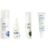 Plum Bright & Clear Skin Routine CSMS (Cleanser, Serum, Moisturizer, Sunscreen) Combo - Distacart