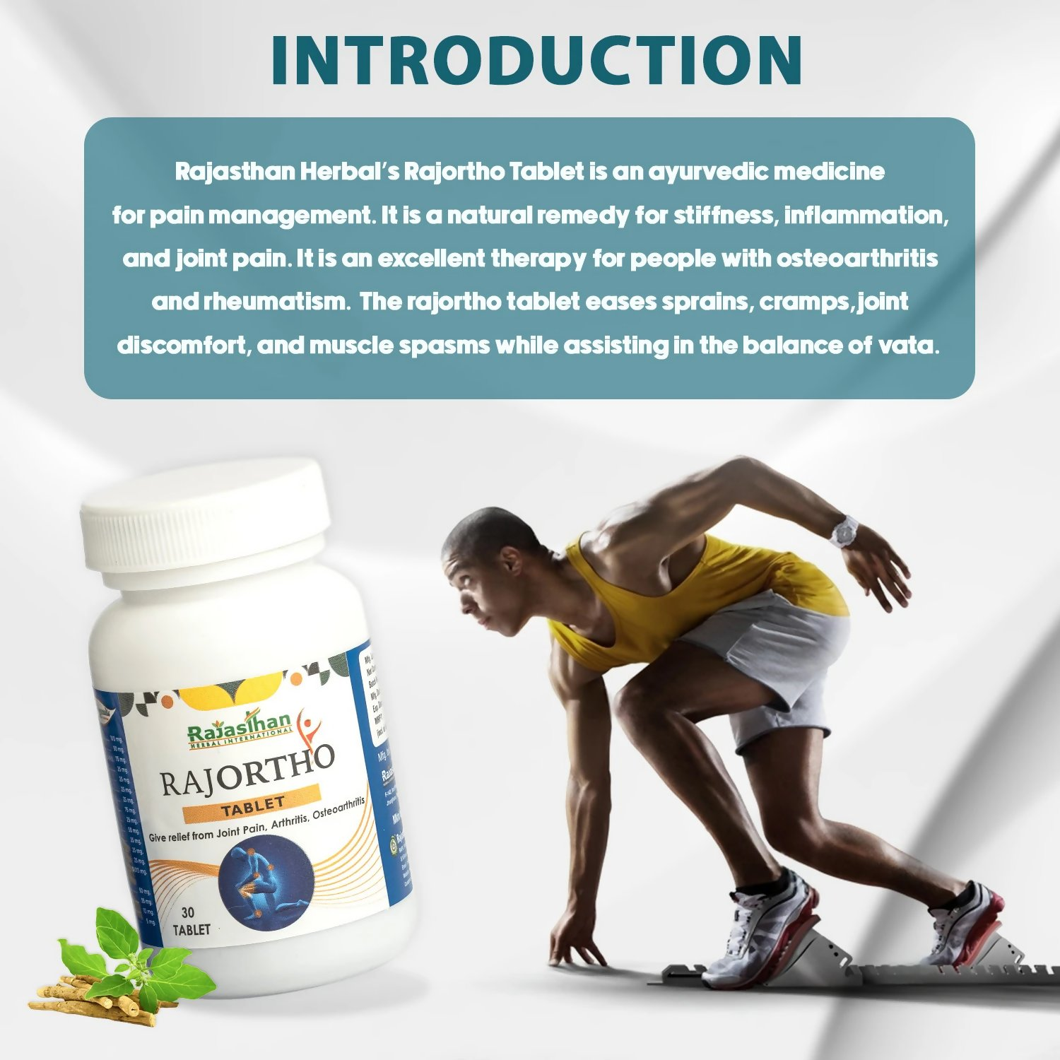 Rajasthan Herbals Rajortho Tablets