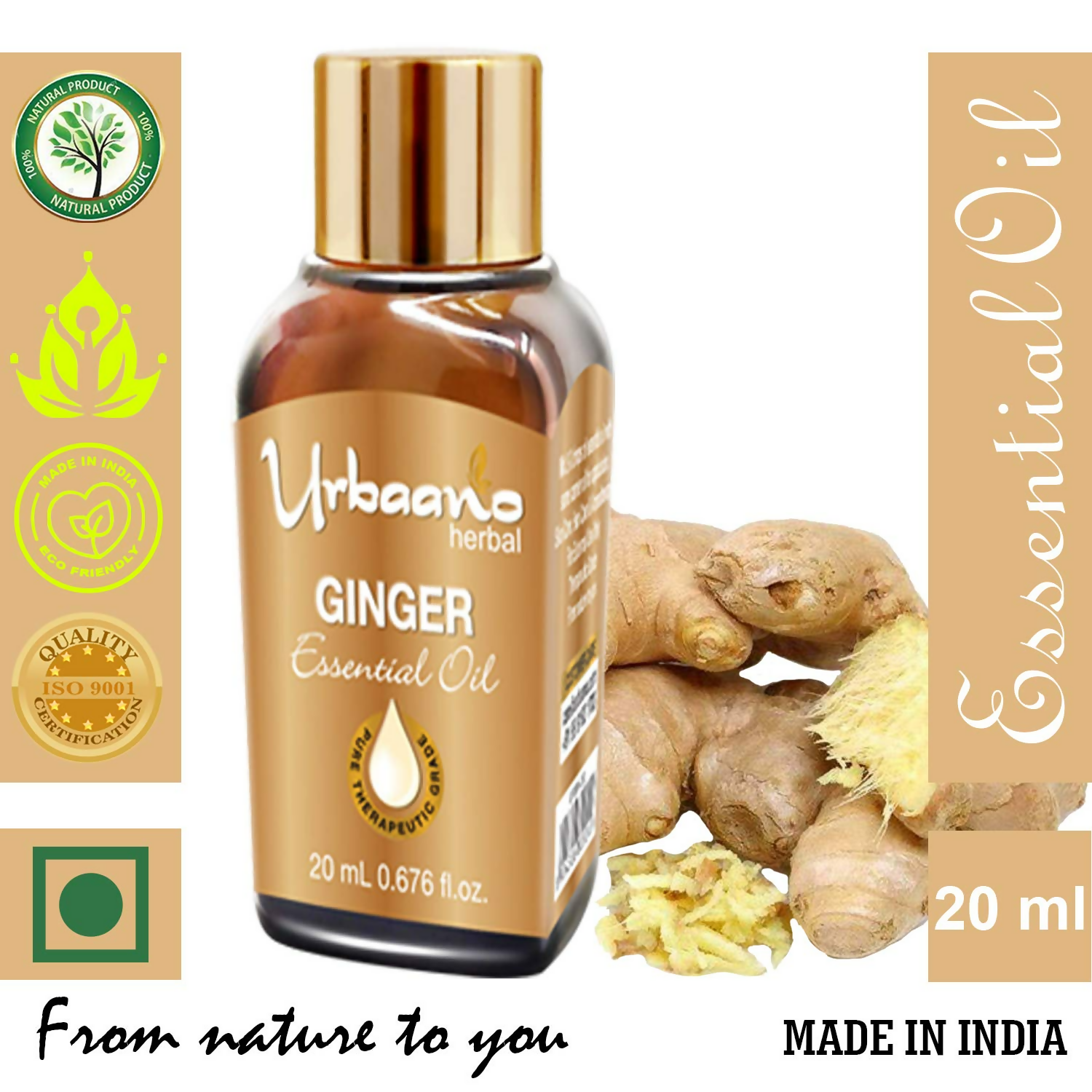 download - 2025-05-07T121728.264