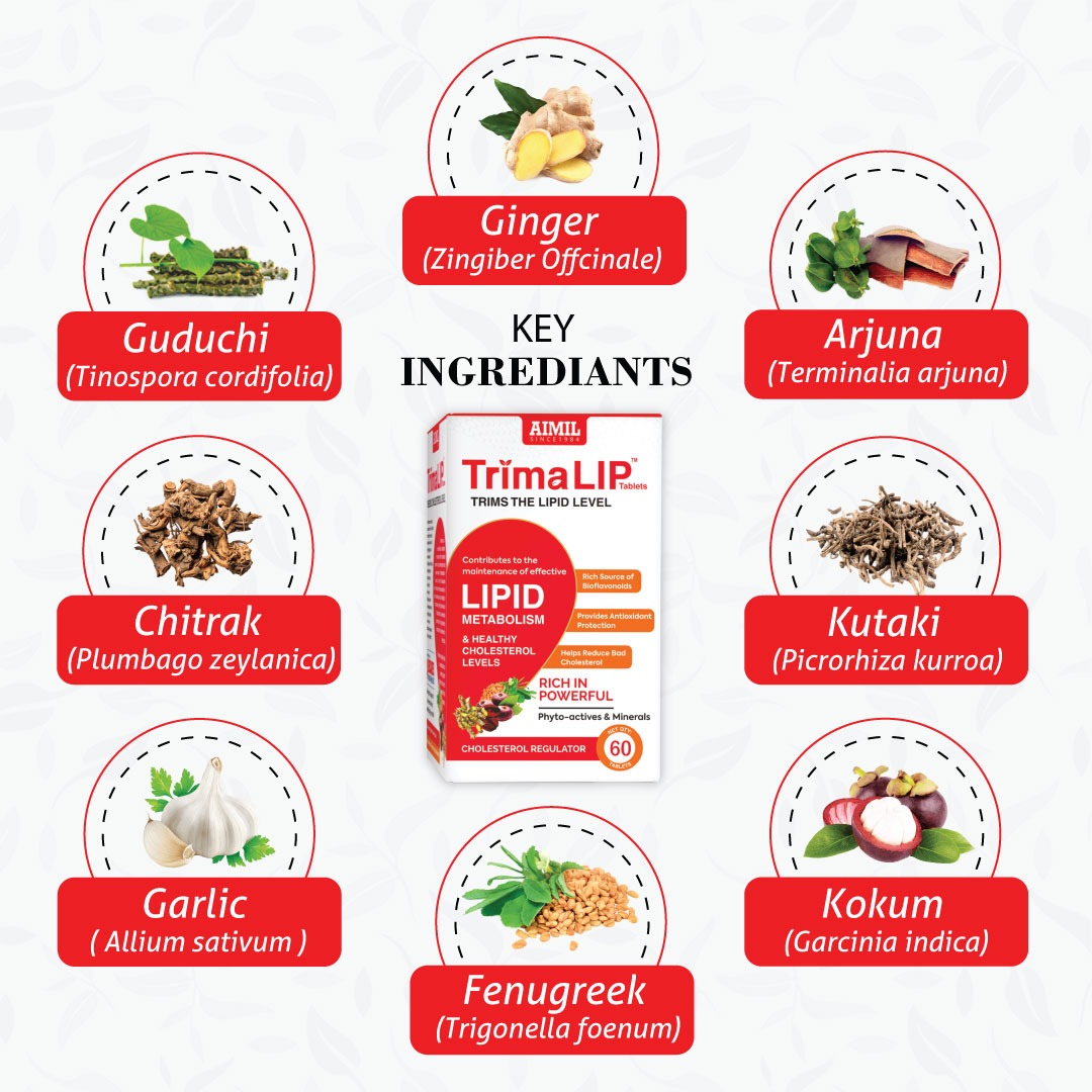 Aimil Meta Balance kit (BGR-34 +TrimaLip)