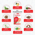 Thumbnail for Aimil Meta Balance kit (BGR-34 +TrimaLip)