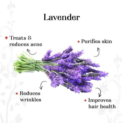 Alps Goodness Lavender Essential Oil - Distacart