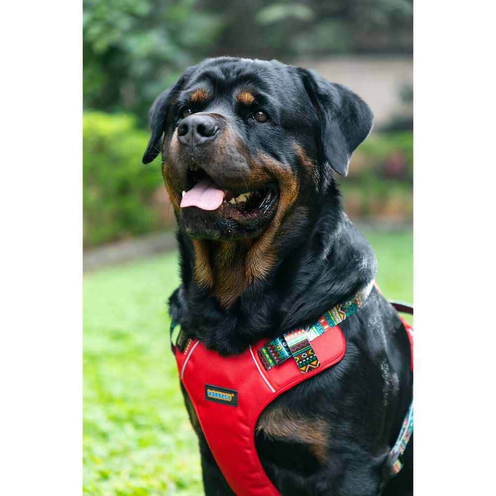 Waggety Adjustable Full Body Dog Harness - Comfortable Fit, Durable Polyester, Red - Dista
