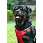 Thumbnail for Waggety Adjustable Full Body Dog Harness - Comfortable Fit, Durable Polyester, Red
