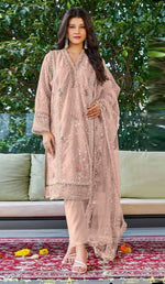 Thumbnail for Anaita Peach Embroidered Organza Stitched Salwar Suit - Distacart