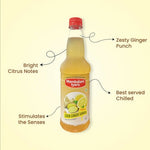Thumbnail for Mambalam Iyers Lemon Ginger Sarbath - Distacart