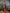Joban Fashion Banarasi Rama Green Woven Butti Soft Silk Saree