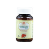 Guru Prasadam Phalatrikadi Ghanvati Tablets - Distacart