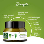 Thumbnail for Organic Harvest Vitamin A Organic Day Cream with Broccoli & Aloe Vera - Distacart