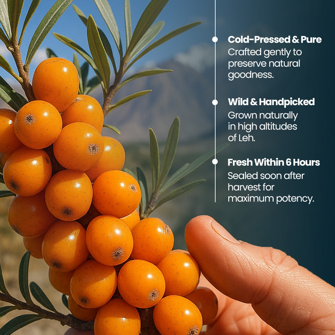 Krishna'S Herbal & Ayurveda Sea Buckthorn Juice