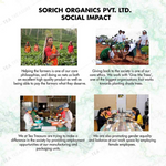 Thumbnail for Tea Treasure Pure Rooibos Tea Bags - Distacart