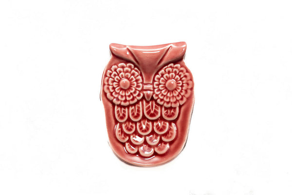 Collectibles India Quirky Owl Trinket Tray - Distacart