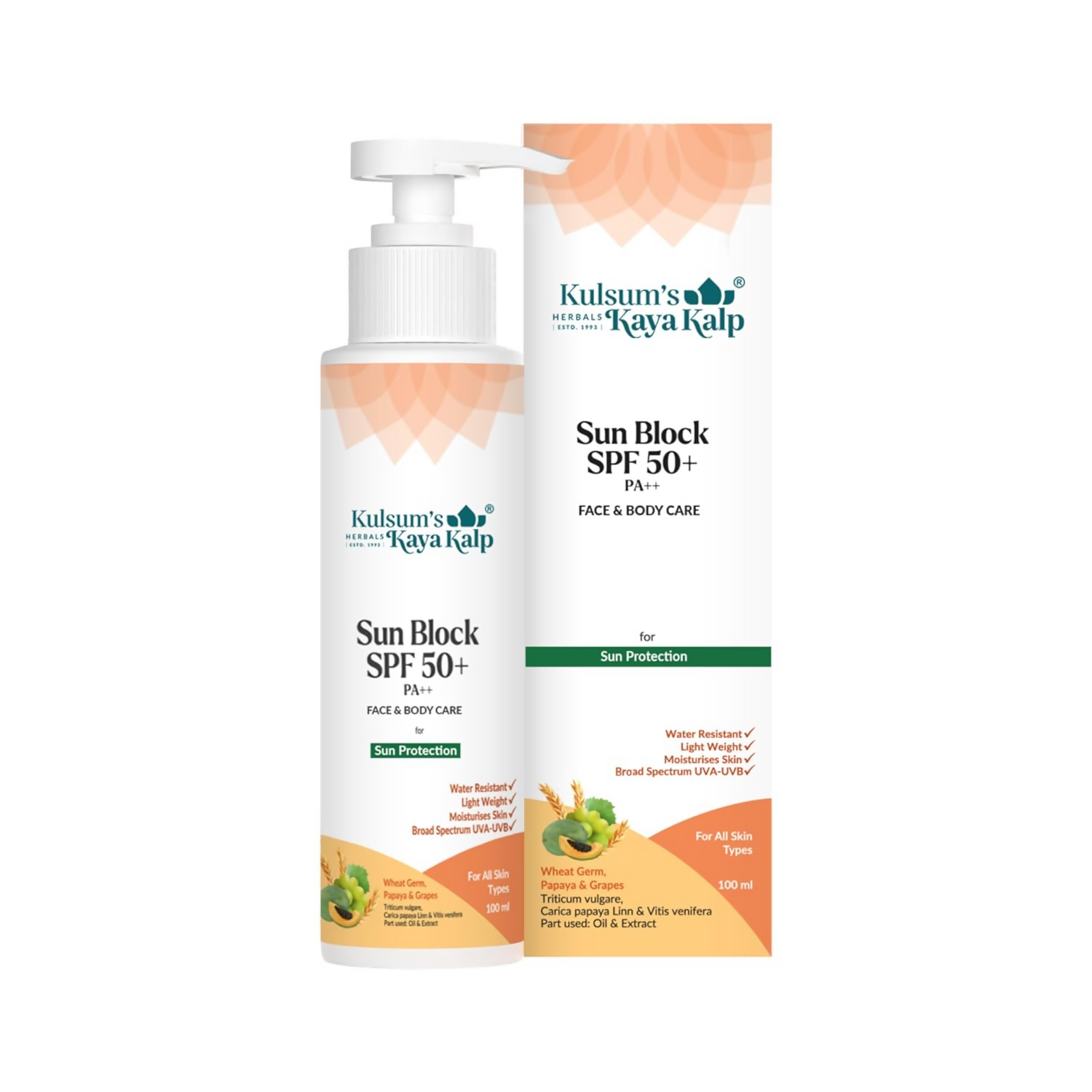 download - 2024-09-30T184510.470