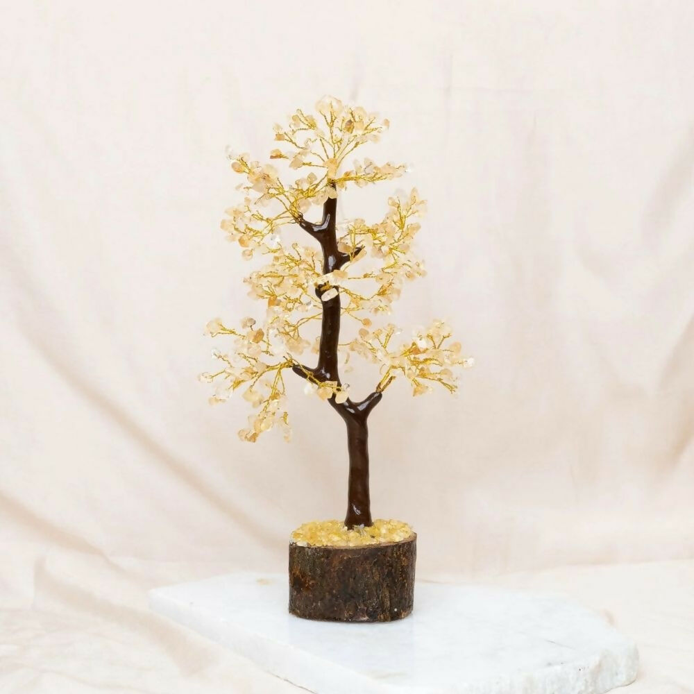 B 300TREE CI