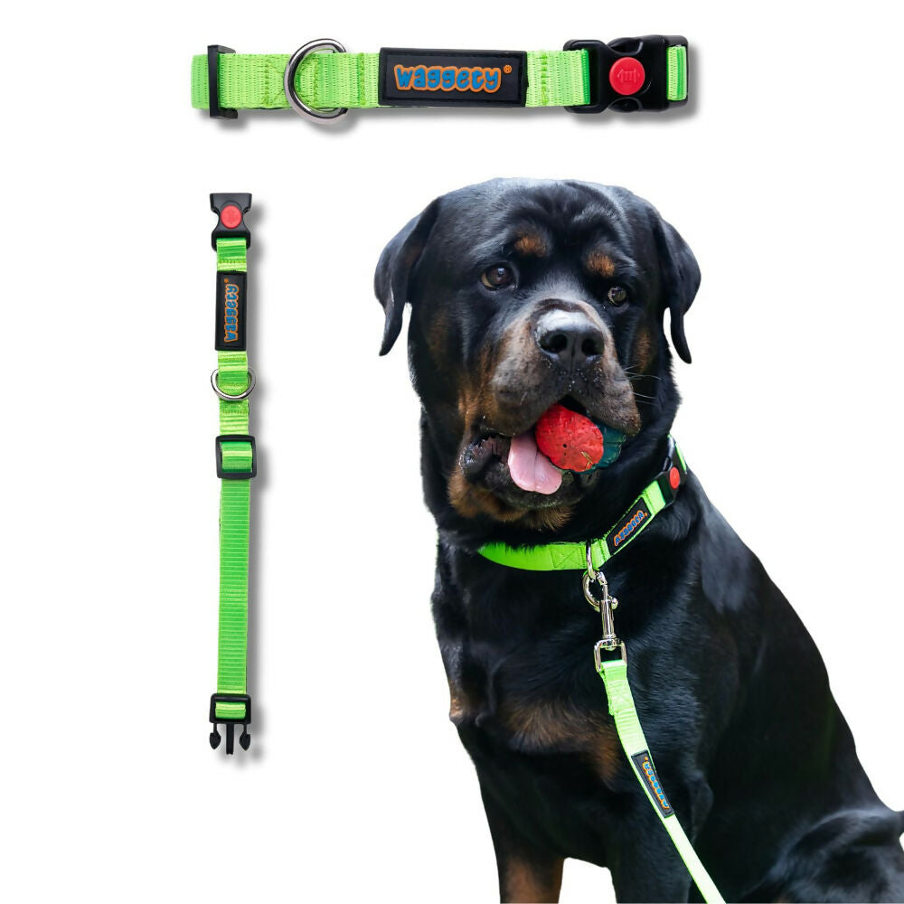 Waggety Padded Dog Collar - Adjustable, Comfortable Fit, Durable Polyester - Green - Dista