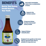 Thumbnail for Rajasthan Herbals K+ Compound Syrup