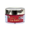 Payal's Herbal Lip Balm - Distacart
