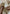 Desi Colour Women Indian Ethnic Footwear-Gold Lines Dabka - Distacart