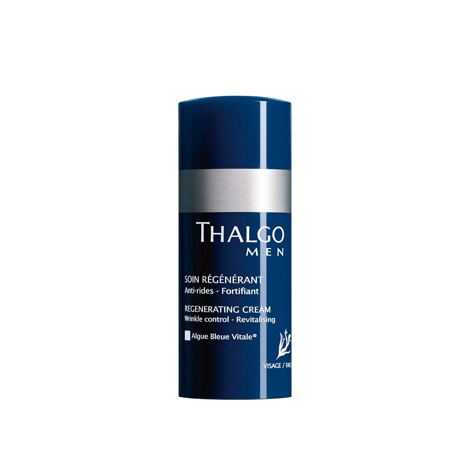 download - 2024-12-17T165954.593