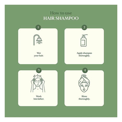August Bioscience Anti Frizz Hair Shampoo - Distacart