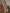 Joban Fashion Banarasi Red Butti Soft Silk Saree