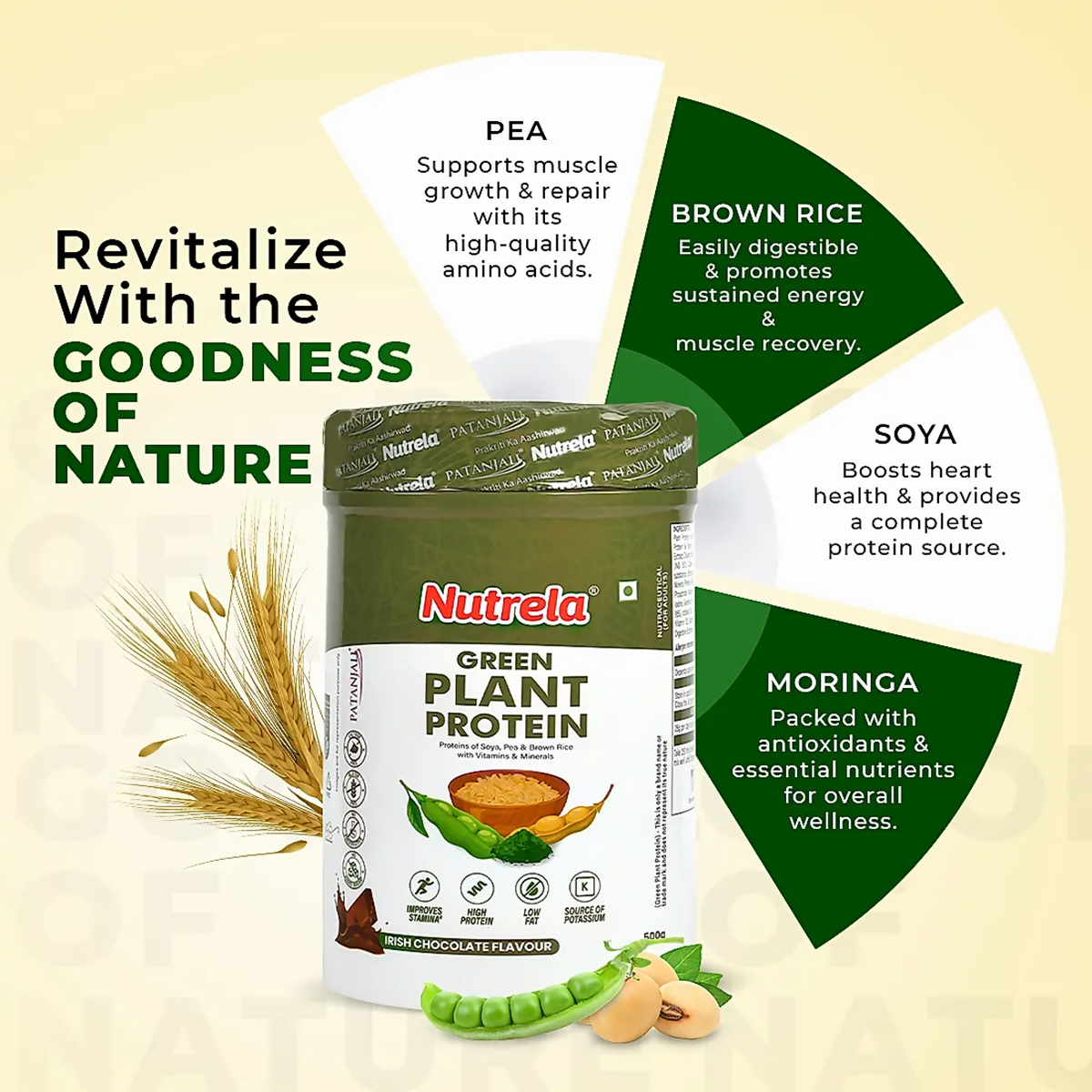 Patanjali Nutrela Green Plant Protein Chocolate Flavour - Distacart