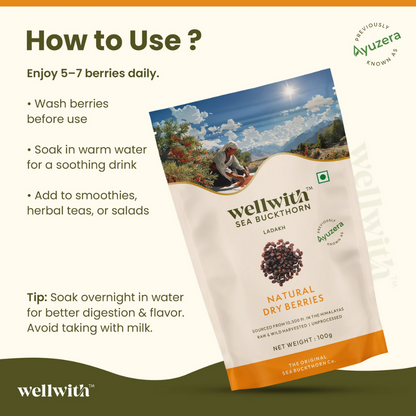 Wellwith Sea Buckthorn Dry Berry - Distacart