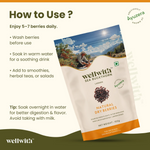 Thumbnail for Wellwith Sea Buckthorn Dry Berry - Distacart
