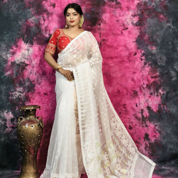 ECDCJAMDANILACEWhite(2)