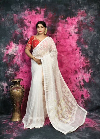 ECDCJAMDANILACEWhite(2)