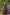 BANARASI_306_BLUE (1)