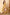 Ahika Plus Size Mustard Yellow Viscose Rayon Ethnic Motifs Straight Kurta