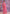 Vegaa Fashion Pink Soft Georgette Sequence Work Saree