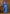 Vegaa Fashion Royal Blue Soft Georgette Sequence Work Saree