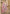 Vegaa Fashion Light Onion Pink Vichitra Silk Embroidered Anarkali Suit