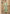Vegaa Fashion Light Pista Vichitra Silk Embroidered Anarkali Suit