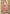 Vegaa Fashion Baby Pink Vichitra Silk Embroidered Anarkali Suit