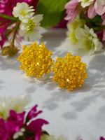 Thumbnail for Inhanns Premium Everyday Studs - Yellow - Distacart