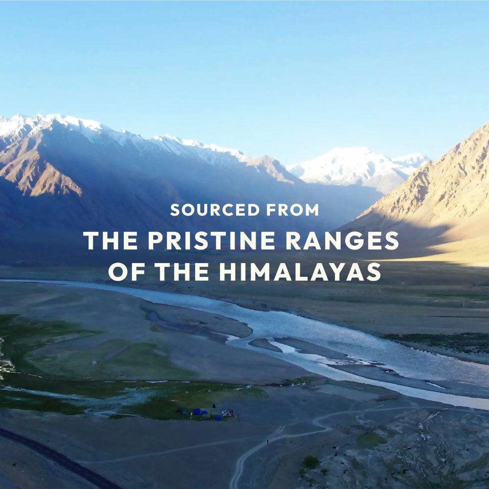 Wellwith Whipped Sunscreen Lotion SPF 50 - Distacart