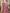 NOZ2TOZ Women's Crepe Peach Printed Designer Saree With Blouse Piece - Distacart
