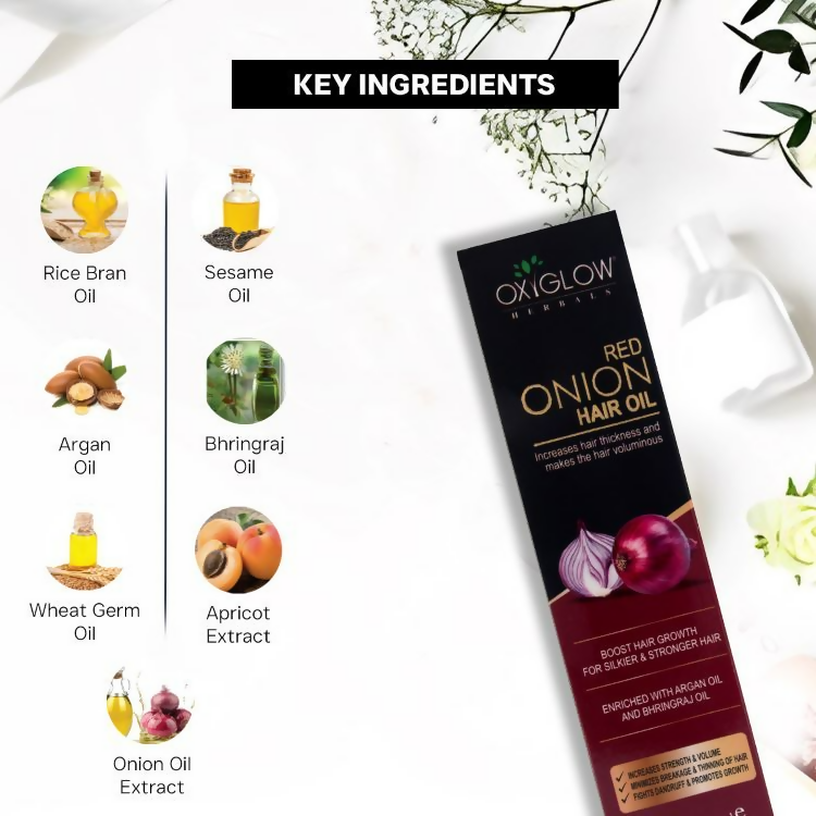 download - 2024-12-02T134058.792