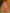 Astita Banarasi Silk Peach Saree